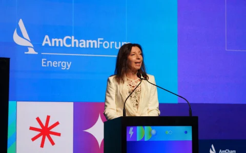 Mariana Schoua, presidenta de AmCham Argentina, durante la apertura del AmCham Energy Forum 2026, donde destacó el potencial energético del país