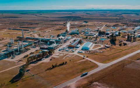 El plan apunta a procesar componentes del denominado gas rico, entre ellos propano, butano y gasolina natural, para destinarlos a mercados externos