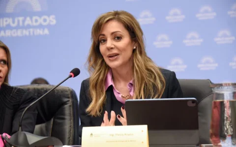 Flavia Royón, nueva presidenta de la Comisión de Minería, Energía y Combustibles del Senado