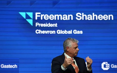 "Hay buenas perspectivas en Argentina con el desarrollo de crudo y gas", afirmó Shaheen