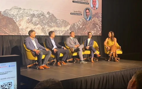 El panel, titulado "Renovables y almacenamiento: desarrollo de proyectos, ingeniería y construcción", fue moderado por Paz Gómez Centurión