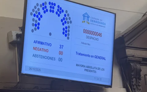 El Senado aprobó por unanimidad la Declaración de Impacto Ambiental de Cobre San Romeleo