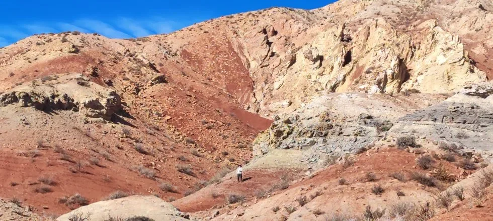 Terreno del proyecto Cobre San Romeleo, en el departamento de Malargüe