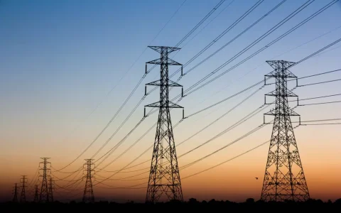 Gobiernos, organismos y empresas analizaron los desafíos para concretar nuevas interconexiones eléctricas en la región.