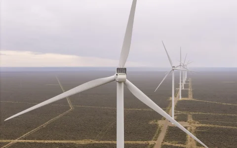 Aerogeneradores en el Parque Eólico Aluar, cuya potencia instalada de 582 MW lo convierte en el más grande de la Argentina