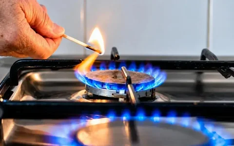 La Resolución 299/2026 reglamentó el nuevo Régimen de Zona Fría, con un 50% de bonificación sobre el gas consumido en la Patagonia, Malargüe (Mendoza)